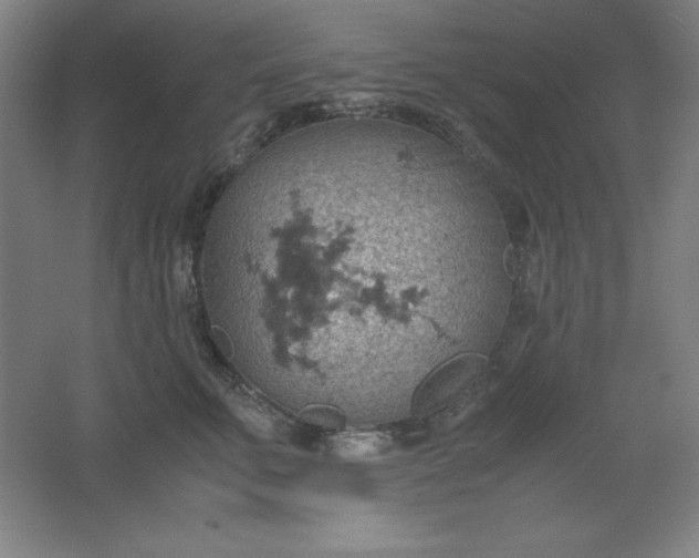 X0000061740711200512161650