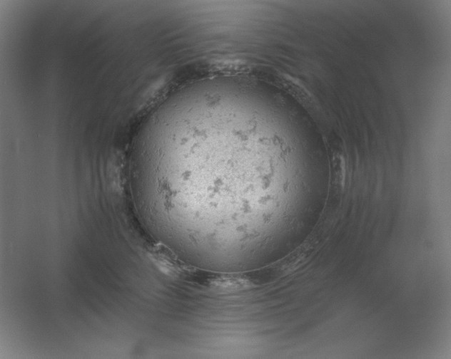 X0000061740712200512161650