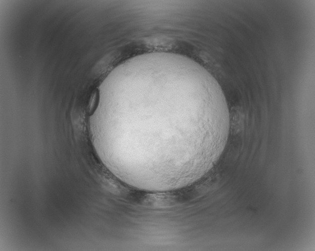 X0000061740713200512161650