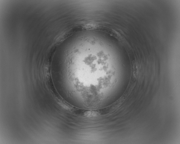 X0000061740714200512161650