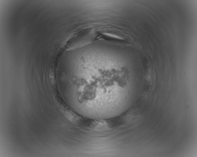 X0000061740715200512161650