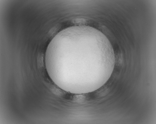 X0000061740717200512161650