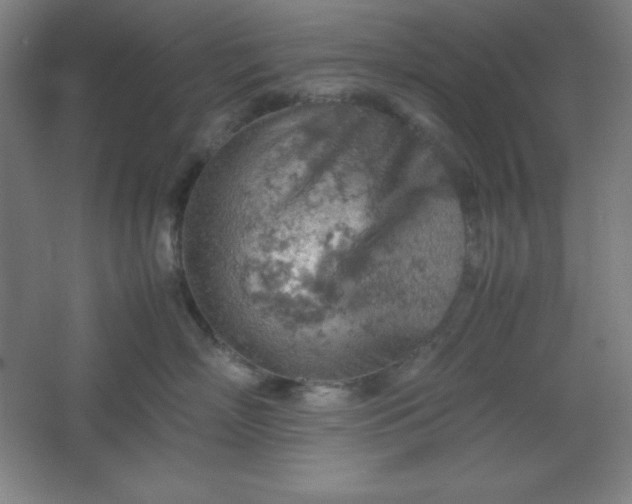 X0000061740718200512161650