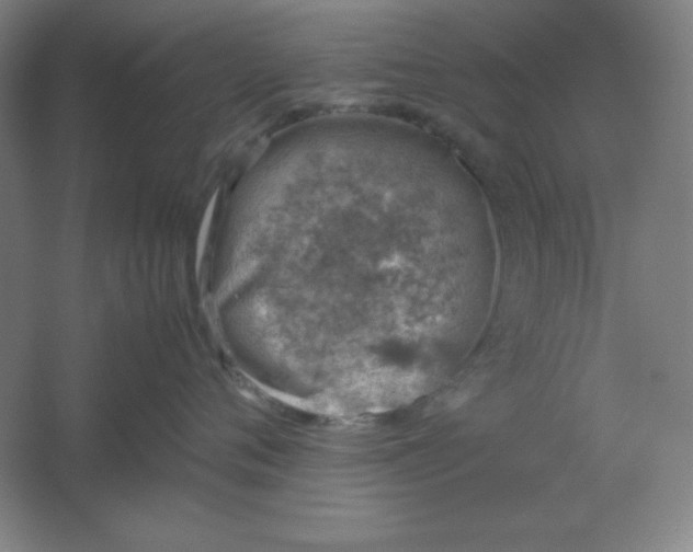 X0000061740720200512161650