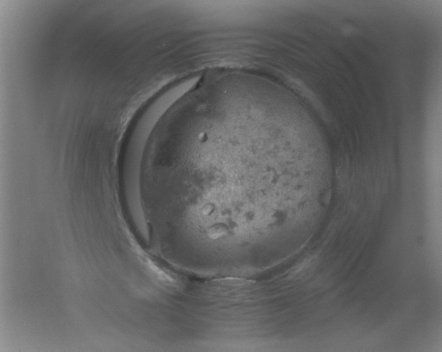 X0000061740721200512161649