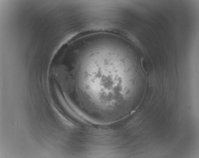 X0000061740722200512161649