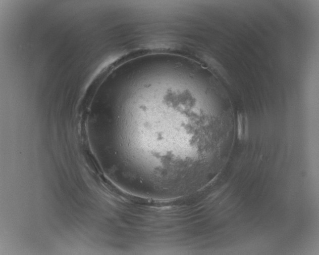 X0000061740723200512161649