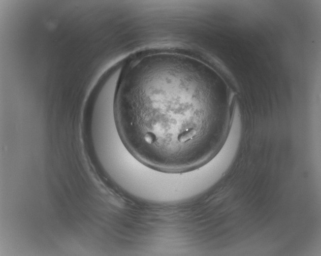 X0000061740724200512161649