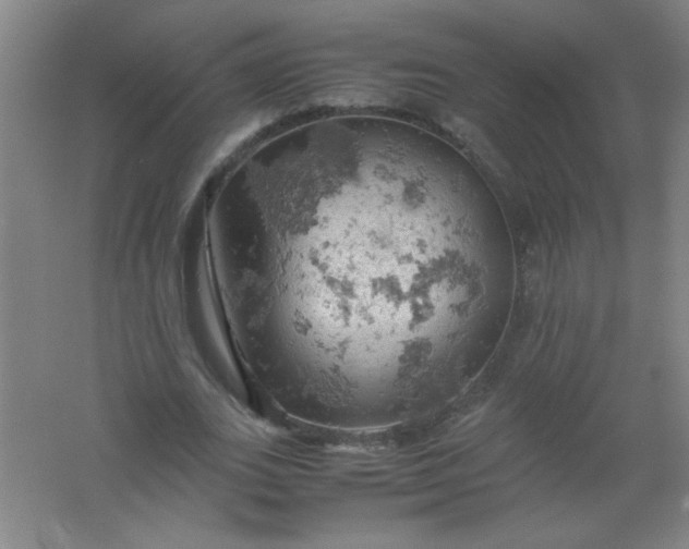 X0000061740727200512161649