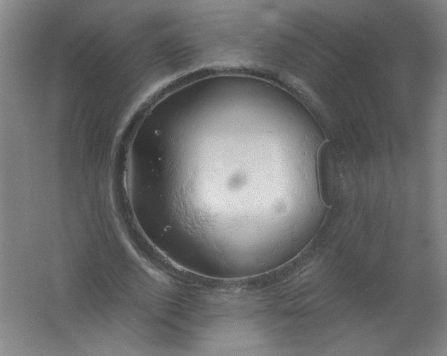 X0000061740728200512161649