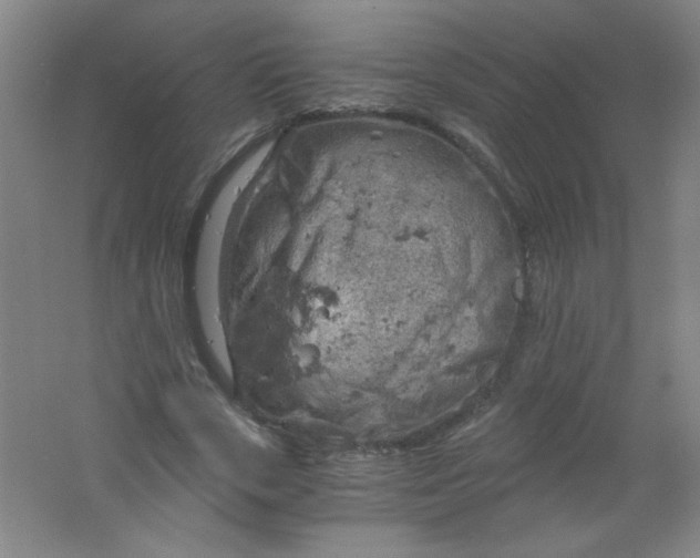 X0000061740729200512161649