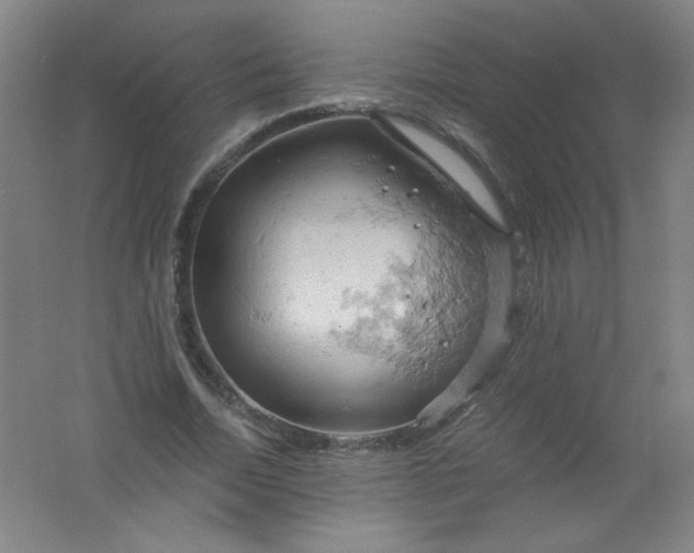 X0000061740730200512161649