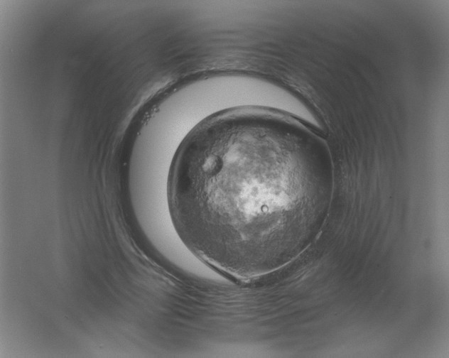 X0000061740731200512161649