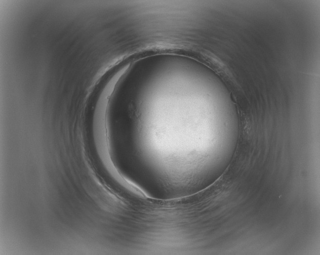 X0000061740732200512161649