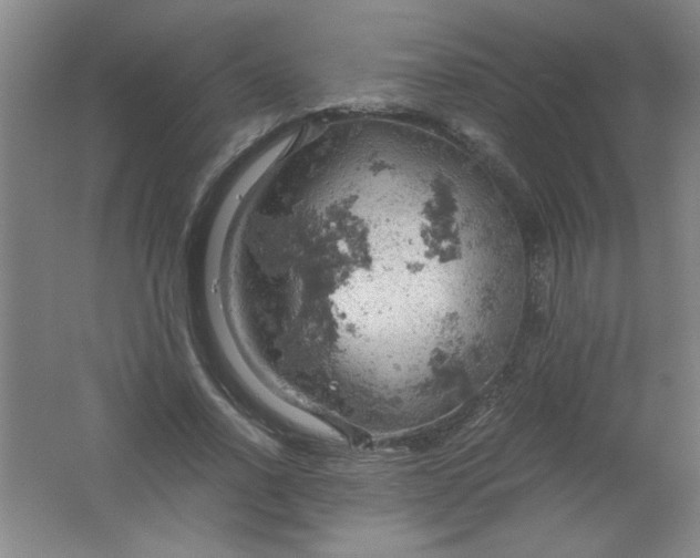 X0000061740734200512161649