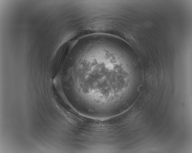 X0000061740735200512161649