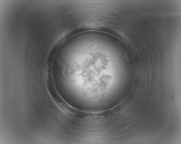 X0000061740736200512161649