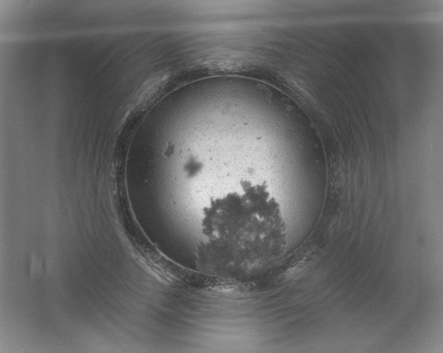 X0000061740738200512161649