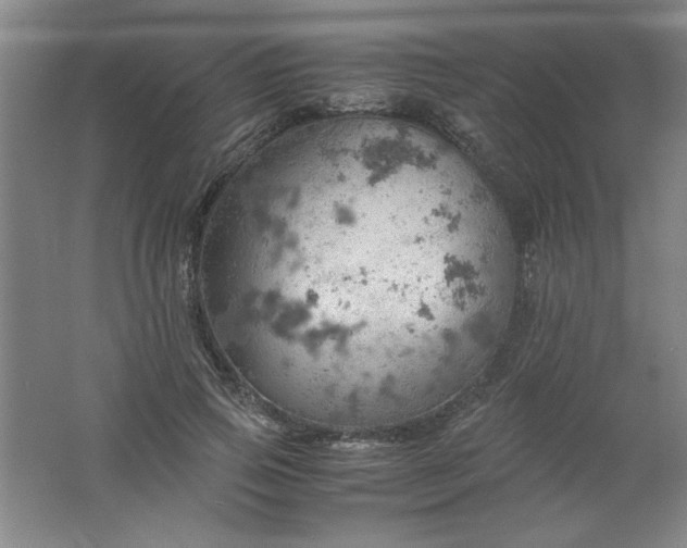 X0000061740741200512161649