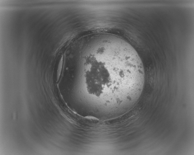 X0000061740742200512161649