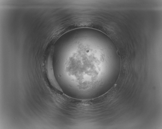 X0000061740743200512161649