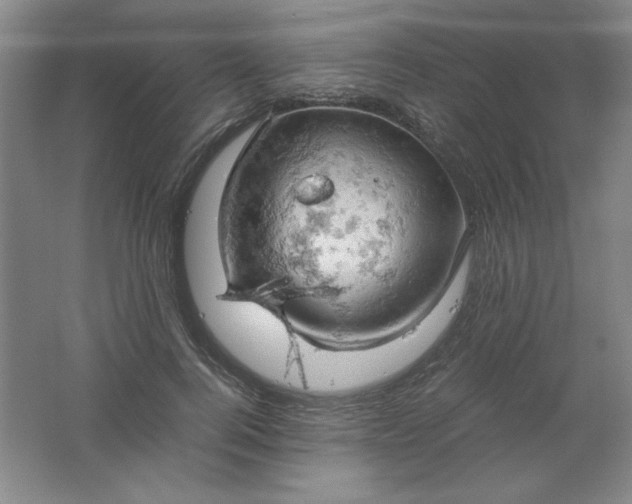 X0000061740744200512161649