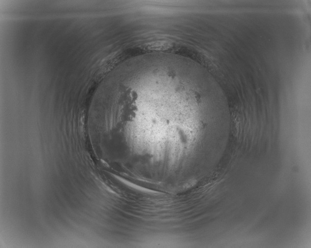 X0000061740745200512161649