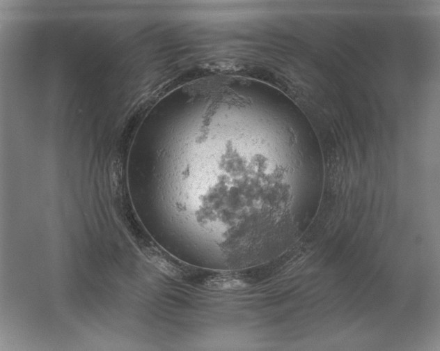 X0000061740747200512161649