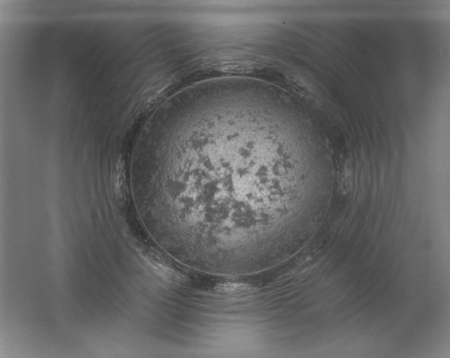 X0000061740748200512161649