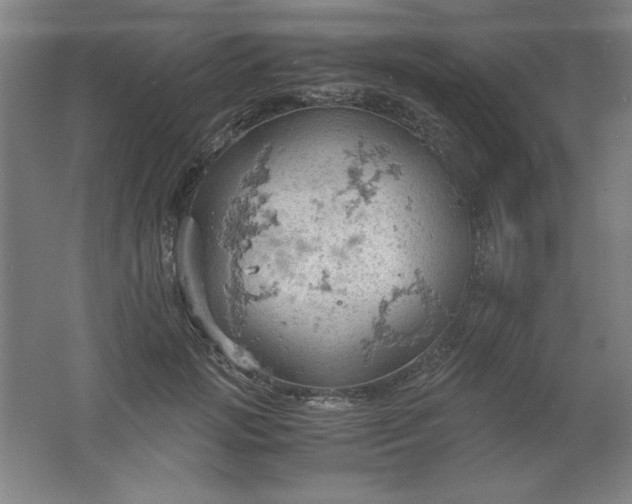 X0000061740749200512161649