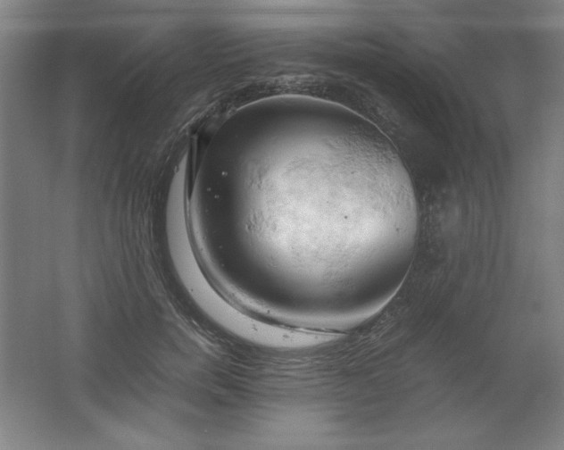 X0000061740750200512161649