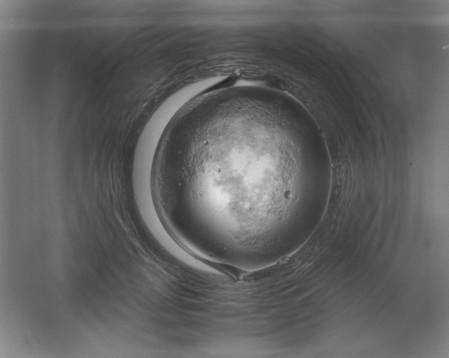 X0000061740751200512161649