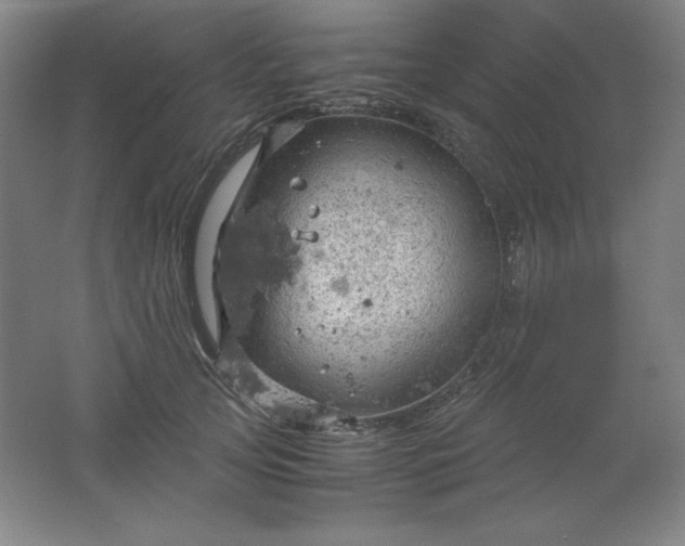 X0000061740753200512161649