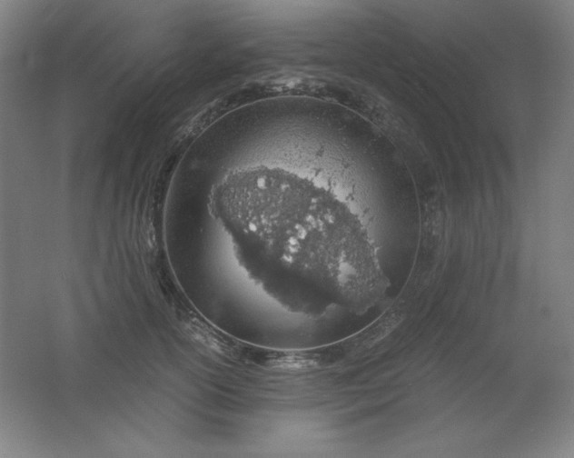 X0000061740754200512161649