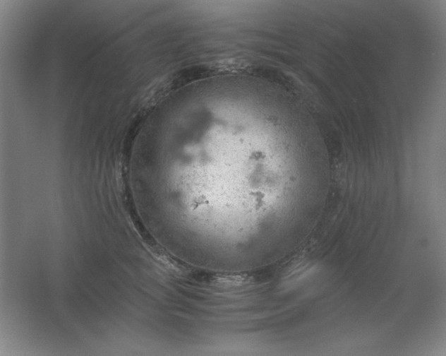 X0000061740757200512161649