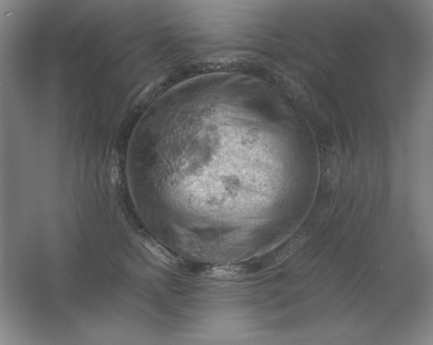 X0000061740758200512161649