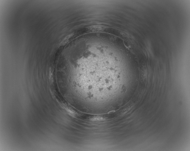 X0000061740759200512161649