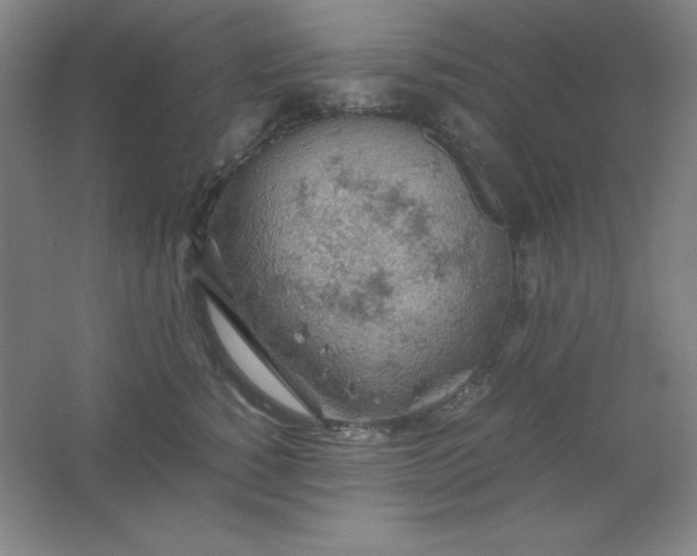 X0000061740760200512161649