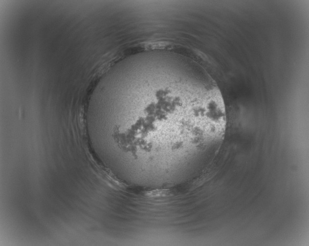 X0000061740761200512161649