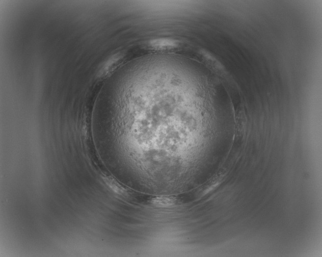 X0000061740762200512161649