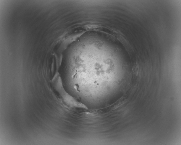 X0000061740763200512161649