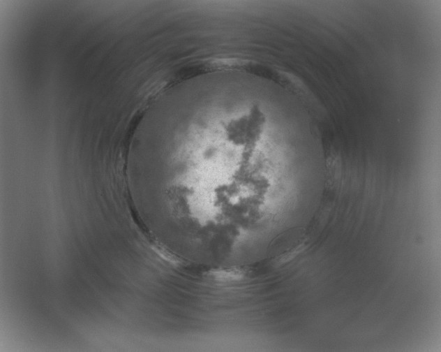 X0000061740765200512161649