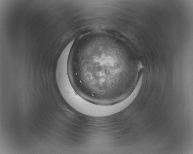 X0000061740766200512161649