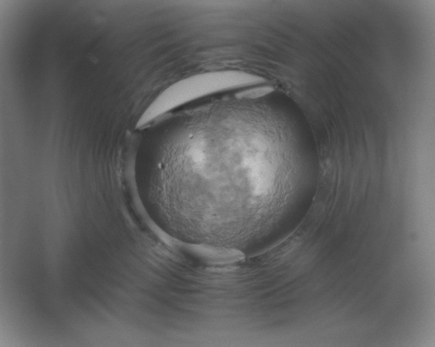 X0000061740767200512161649