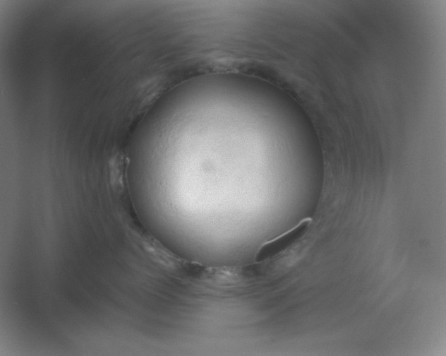 X0000061740768200512161650