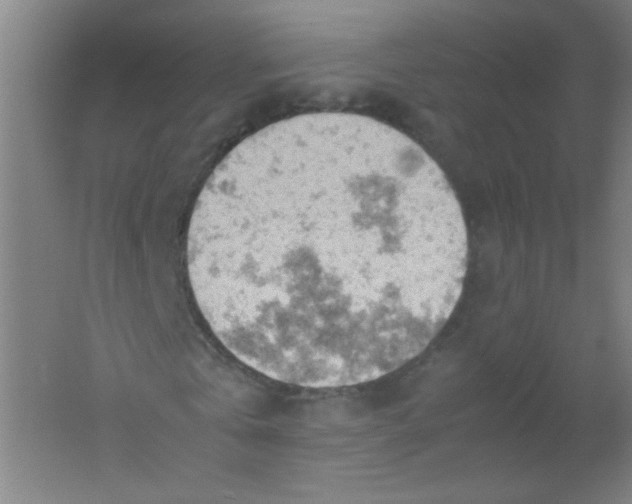 X0000061740769200512161649