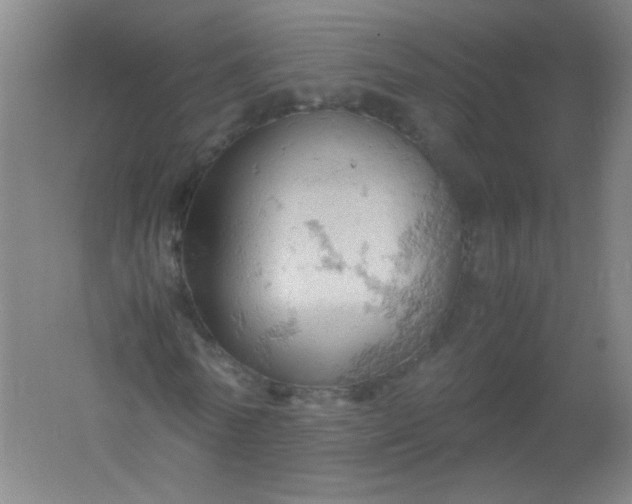 X0000061740770200512161649