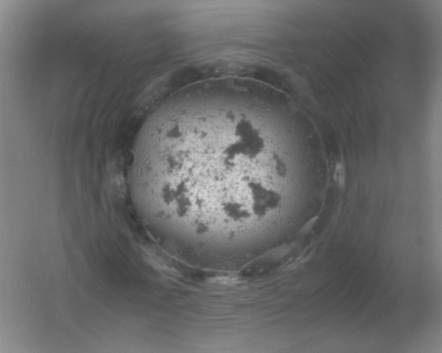 X0000061740771200512161649