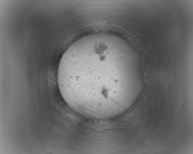 X0000061740772200512161649