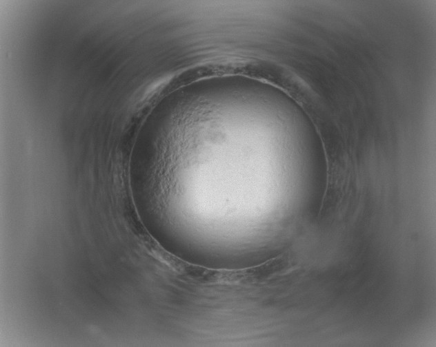 X0000061740773200512161649